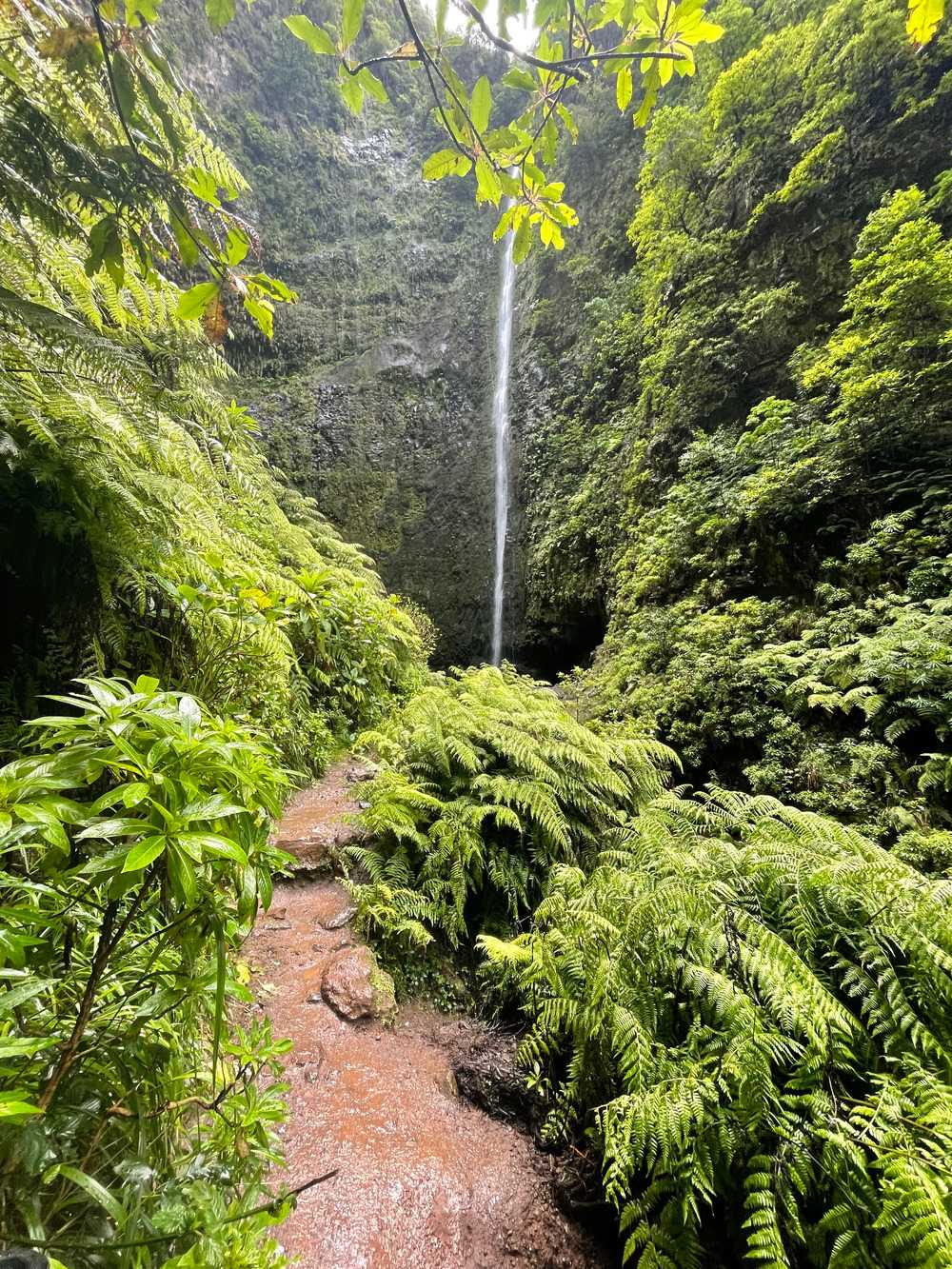 Levada do Caldeirao Verde