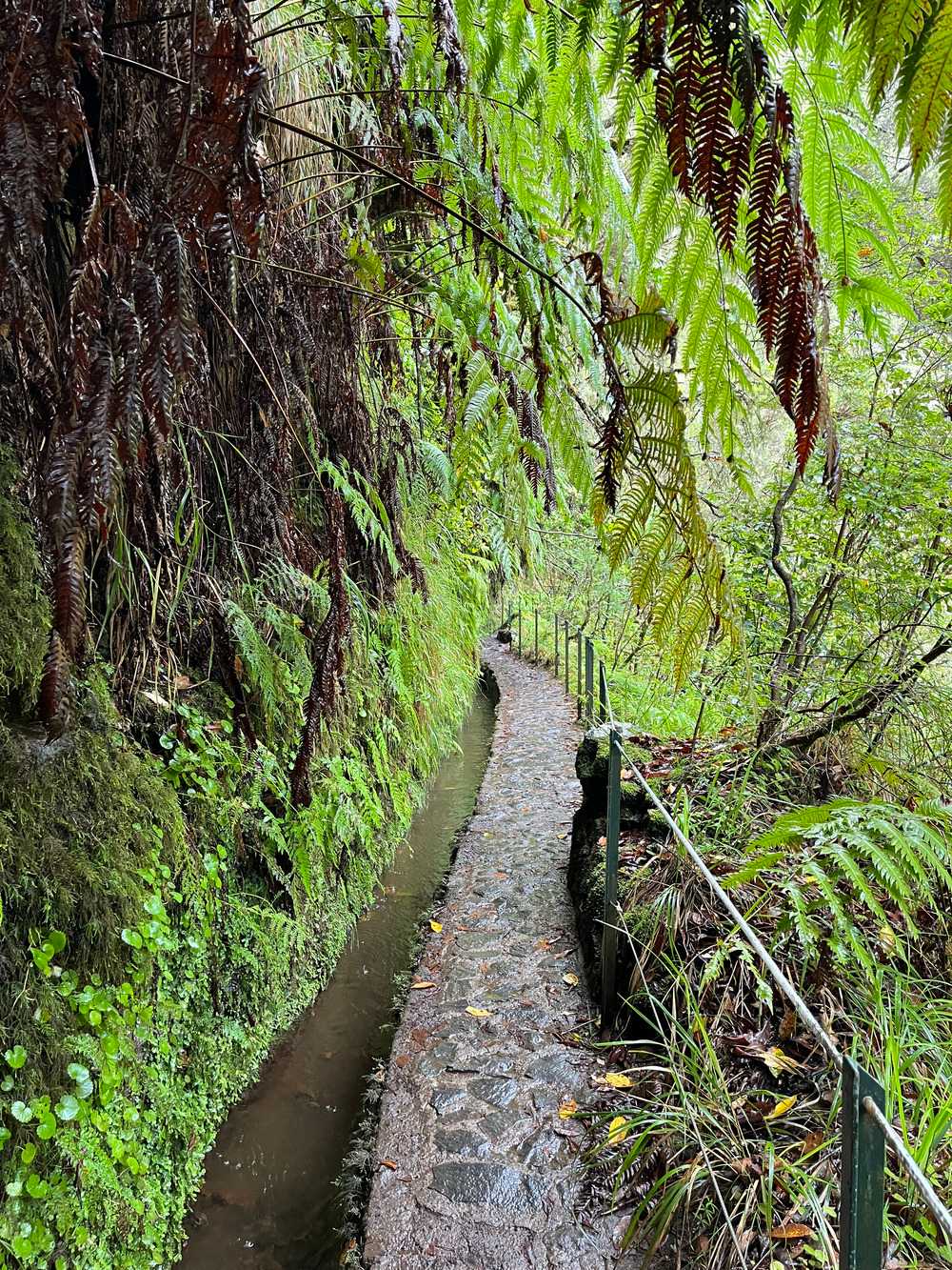 Levada do Caldeirao Verde